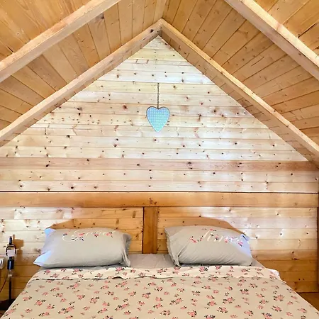 Bird Of Paradise شقة بلغراد