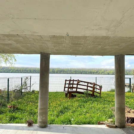 Bird Of Paradise * بلغراد