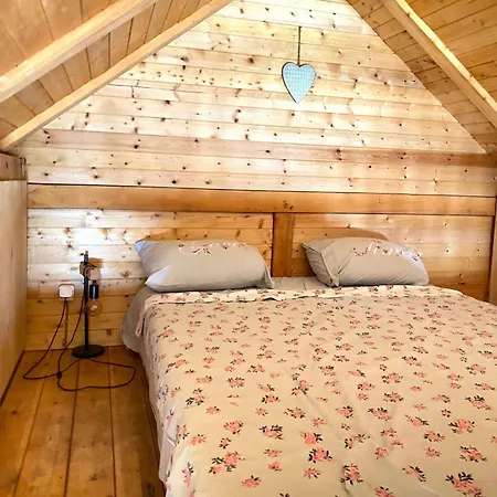 Bird Of Paradise Appartamento *