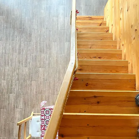 Bird Of Paradise * Belgrado