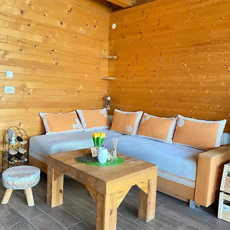 Bird Of Paradise Appartamento Belgrado