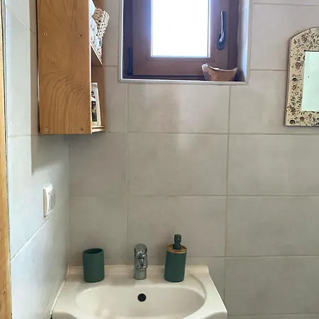 Bird Of Paradise شقة بلغراد