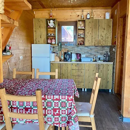 Bird Of Paradise * Belgrado