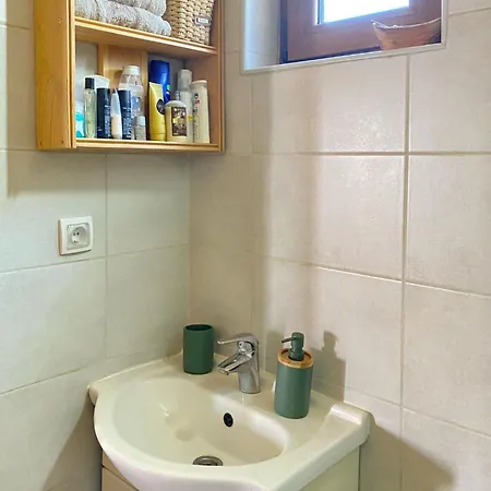 Bird Of Paradise * بلغراد