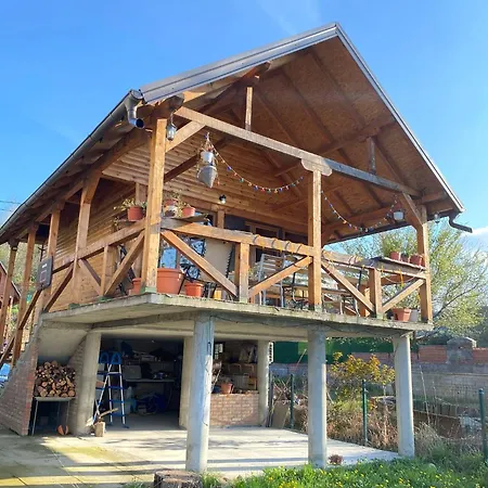 شقة Bird Of Paradise *